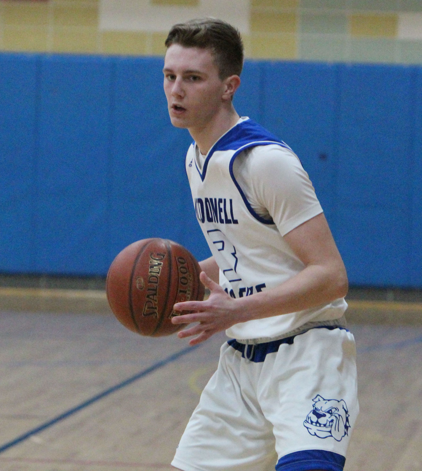 Eau Claire Immanuel at McDonell boys basketball 3-2-18